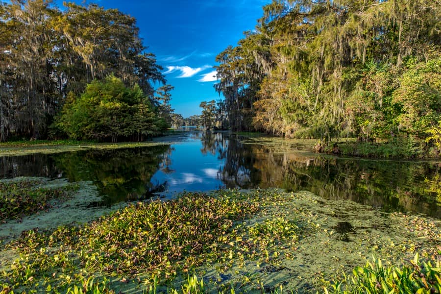 20 Things To Do In Lafayette, Louisiana - That Every Adventurer Will Enjoy 2025/2026