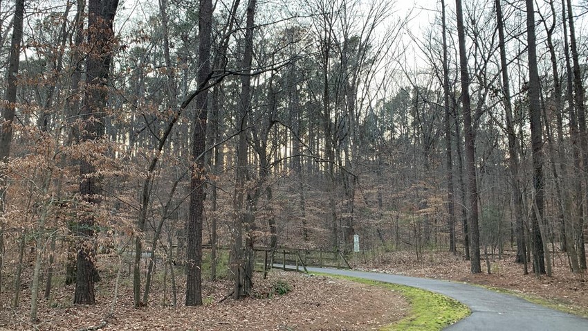 Cape Fear River Trail