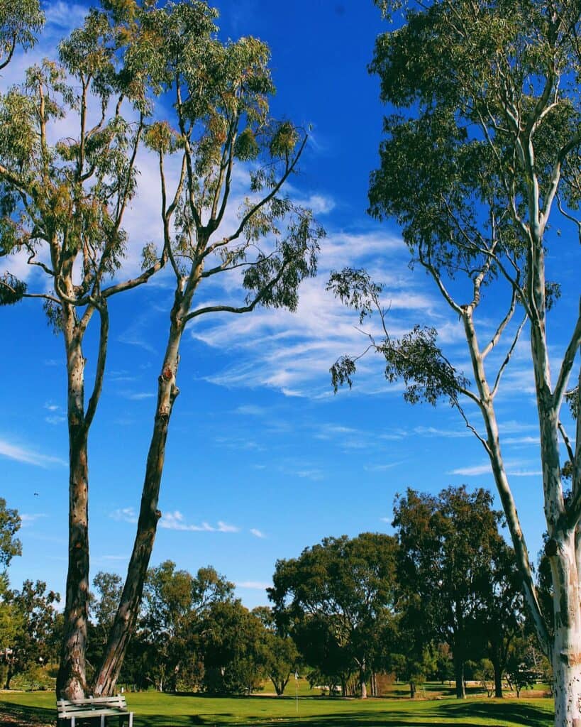 Emerald Isle Golf Course