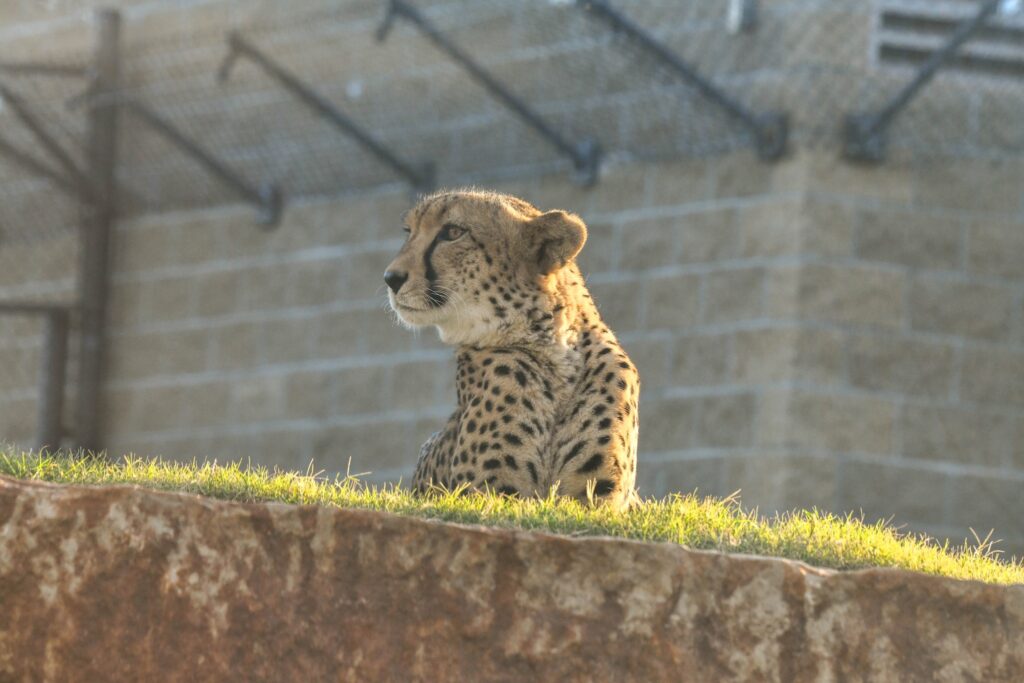 Oklahoma City Zoo and Botanical Garden