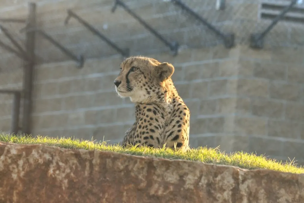 Oklahoma City Zoo and Botanical Garden