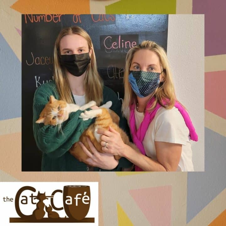 The Cat Cafe