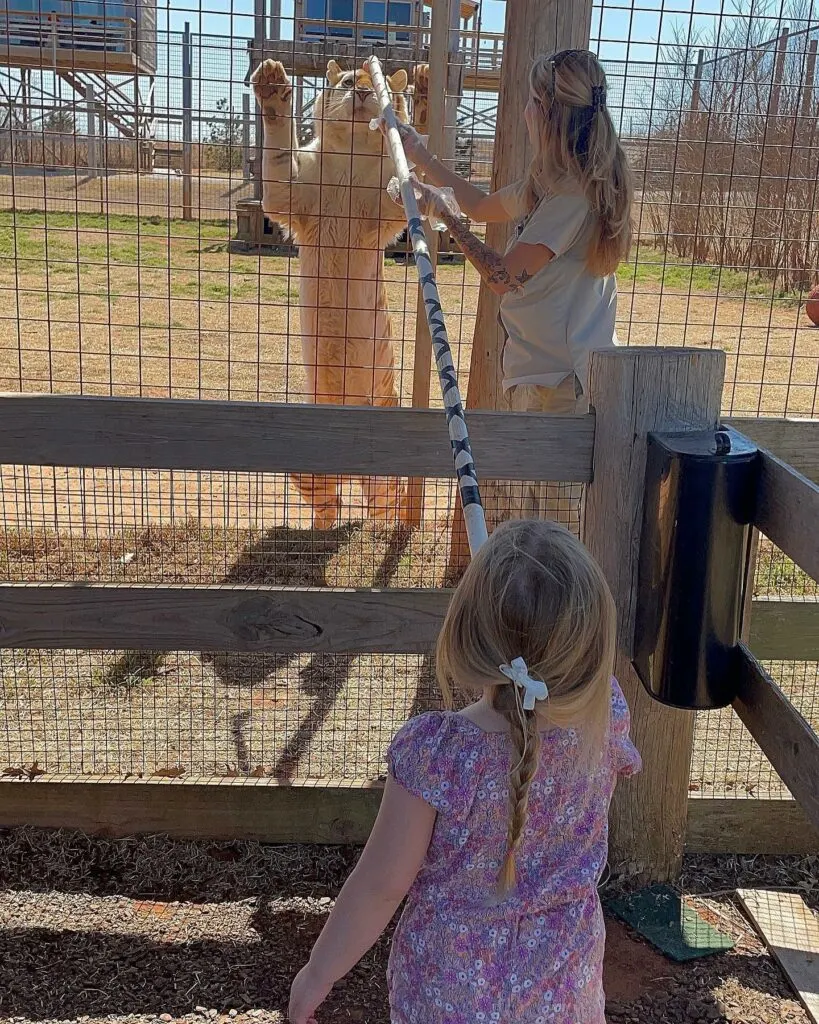 Tiger Safari Zoological Park