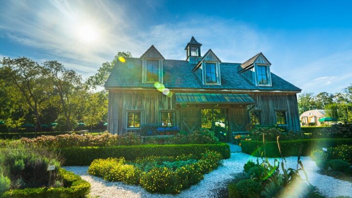 Beach Plum Farm