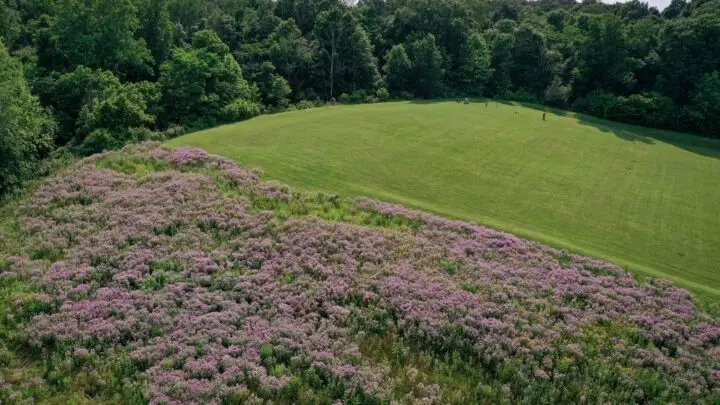 Fort Harrison State Park