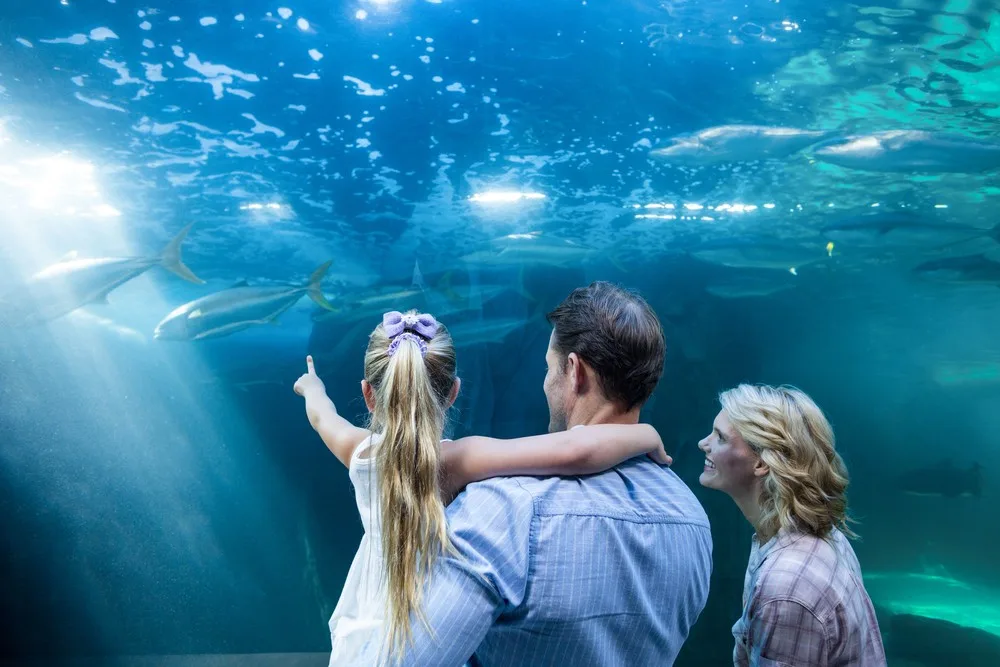 Greater Cleveland Aquarium