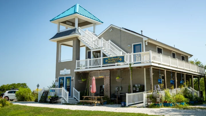 Nature Center of Cape May