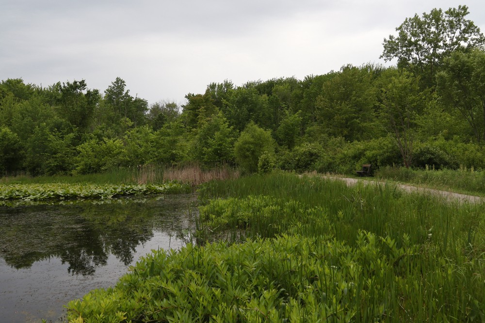North Chagrin Reservation