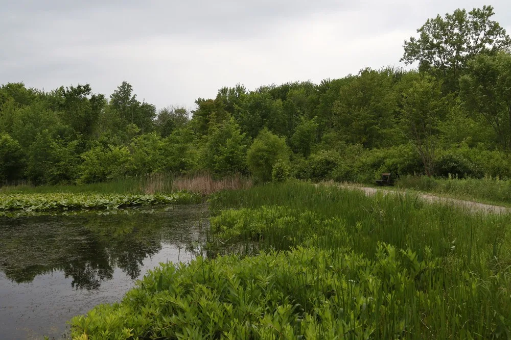 North Chagrin Reservation