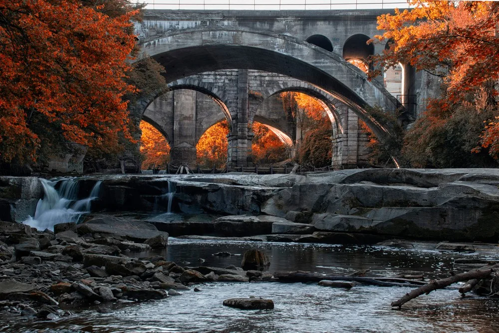 Rocky River Reservation