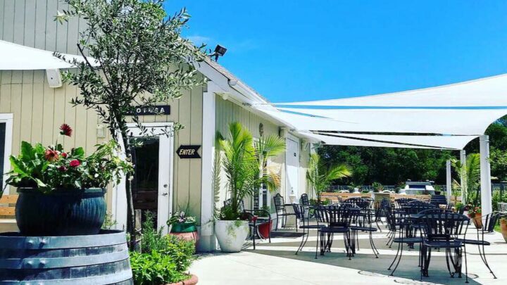 Turdo Vineyards & Winery