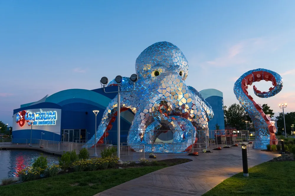 Aquarium at the Boardwalk
