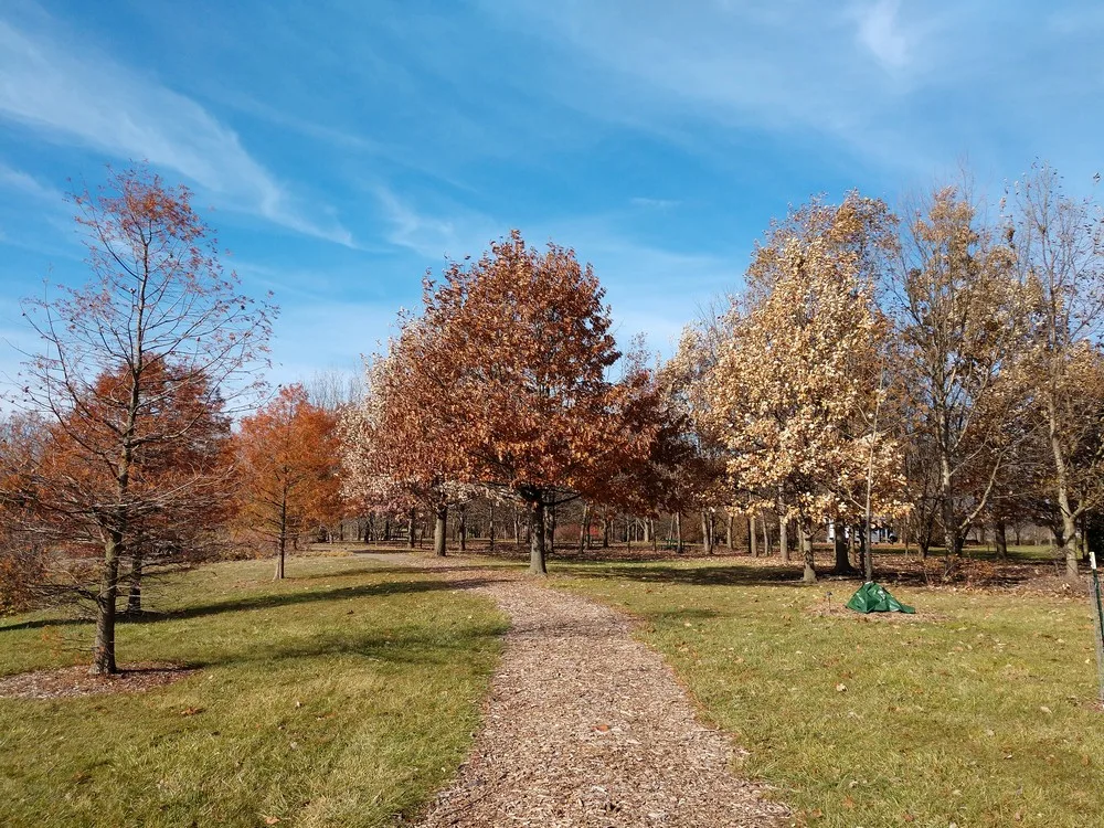 Chadwick Arboretum