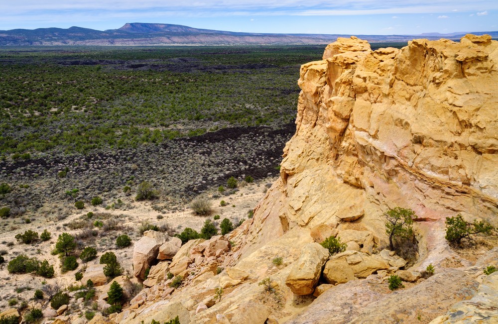 Cibola National Forest