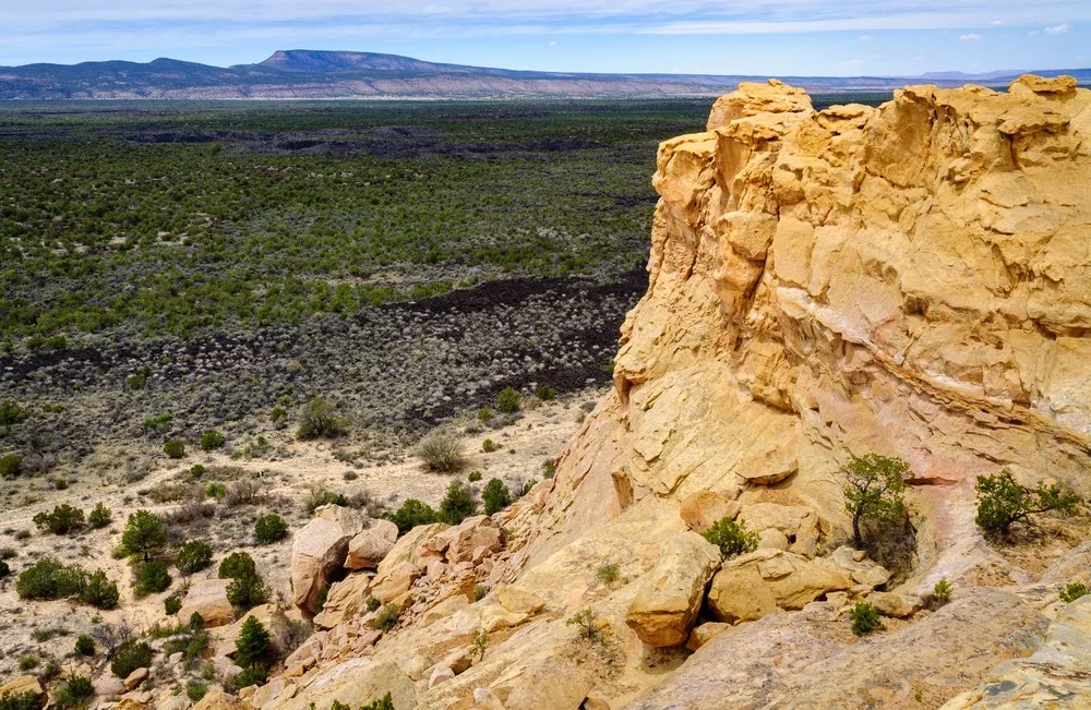 Cibola National Forest
