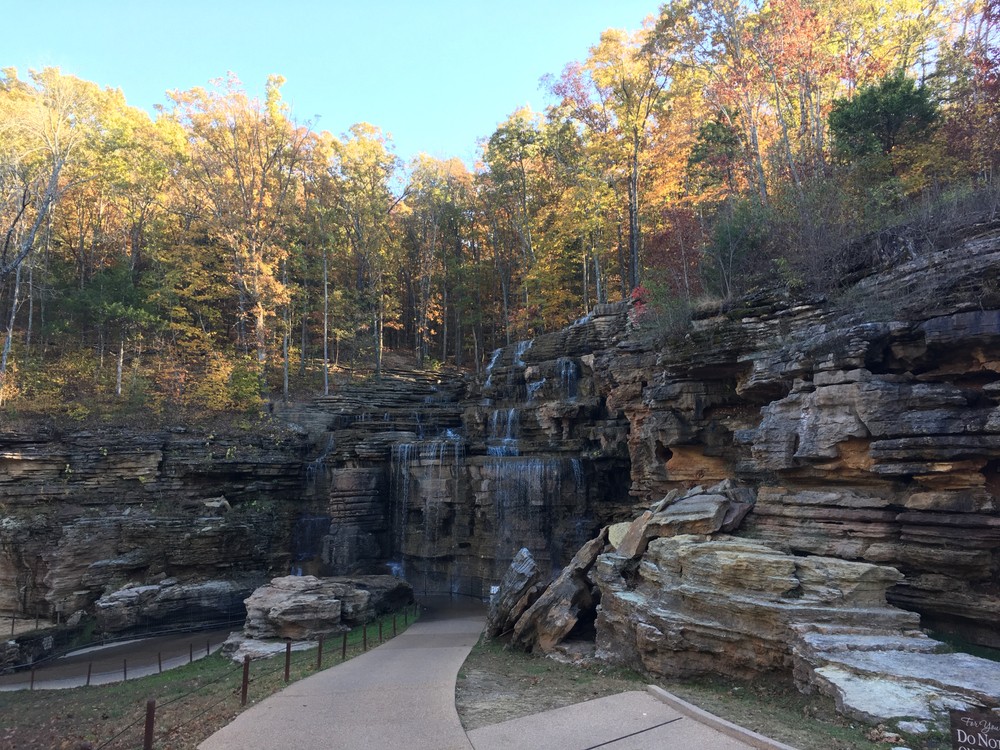 Lakeside Forest Wilderness Area