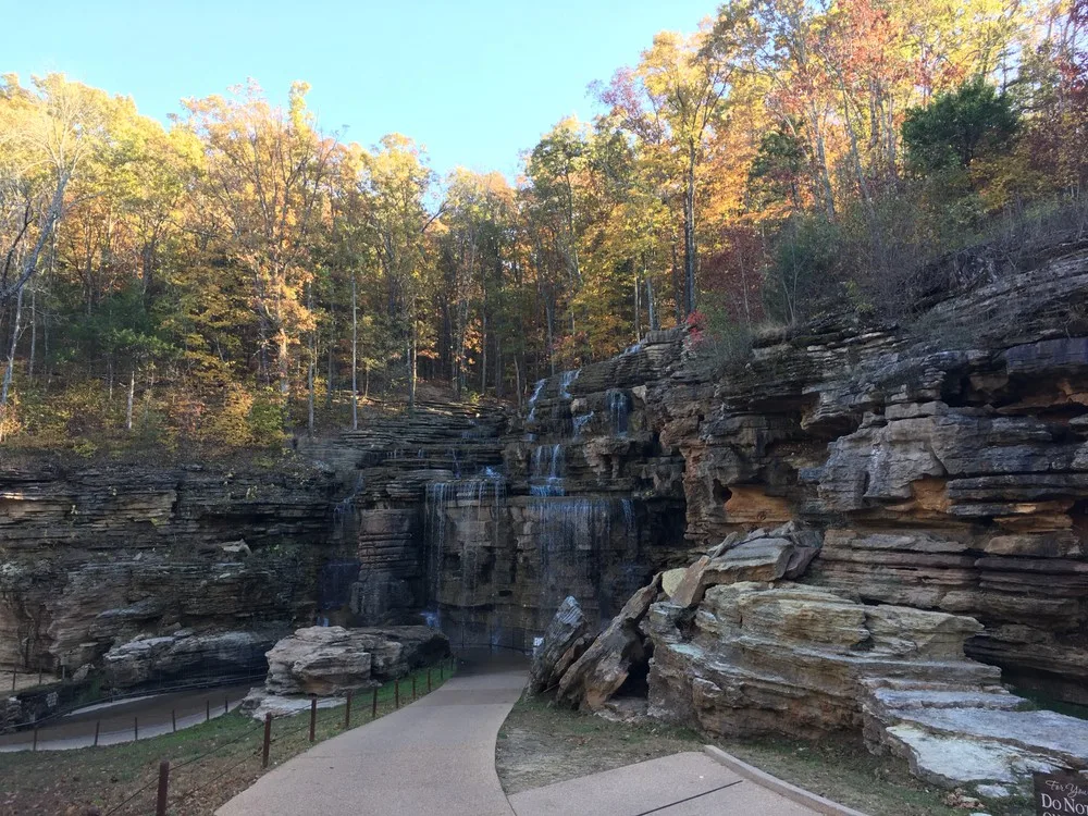 Lakeside Forest Wilderness Area