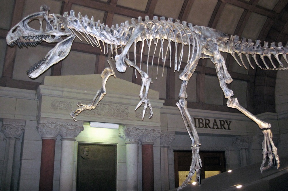 Orton Geological Museum