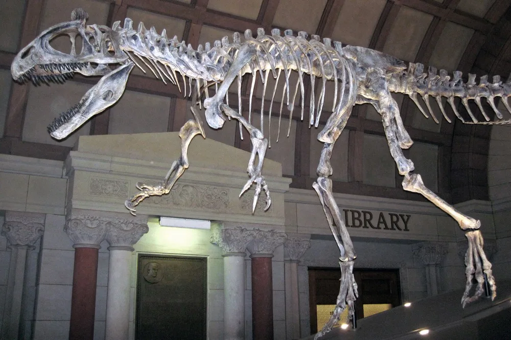 Orton Geological Museum