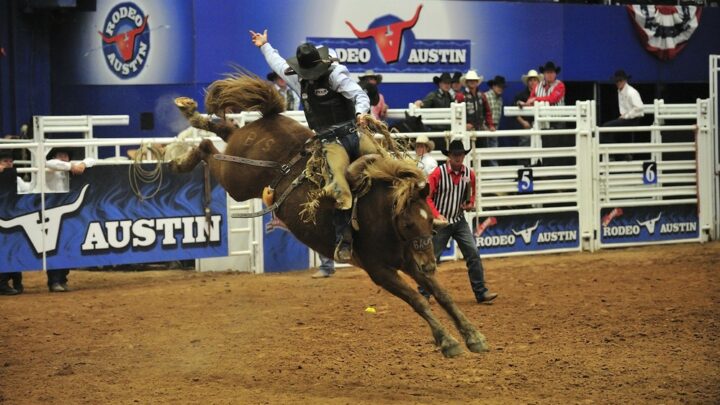 Rodeo Austin