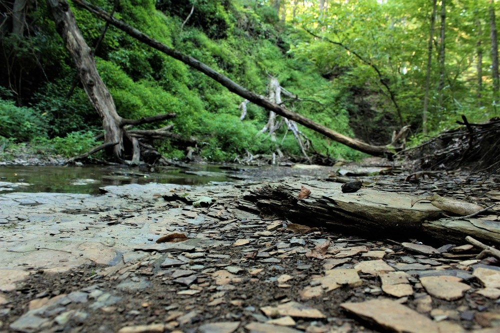 Shale Hollow Park