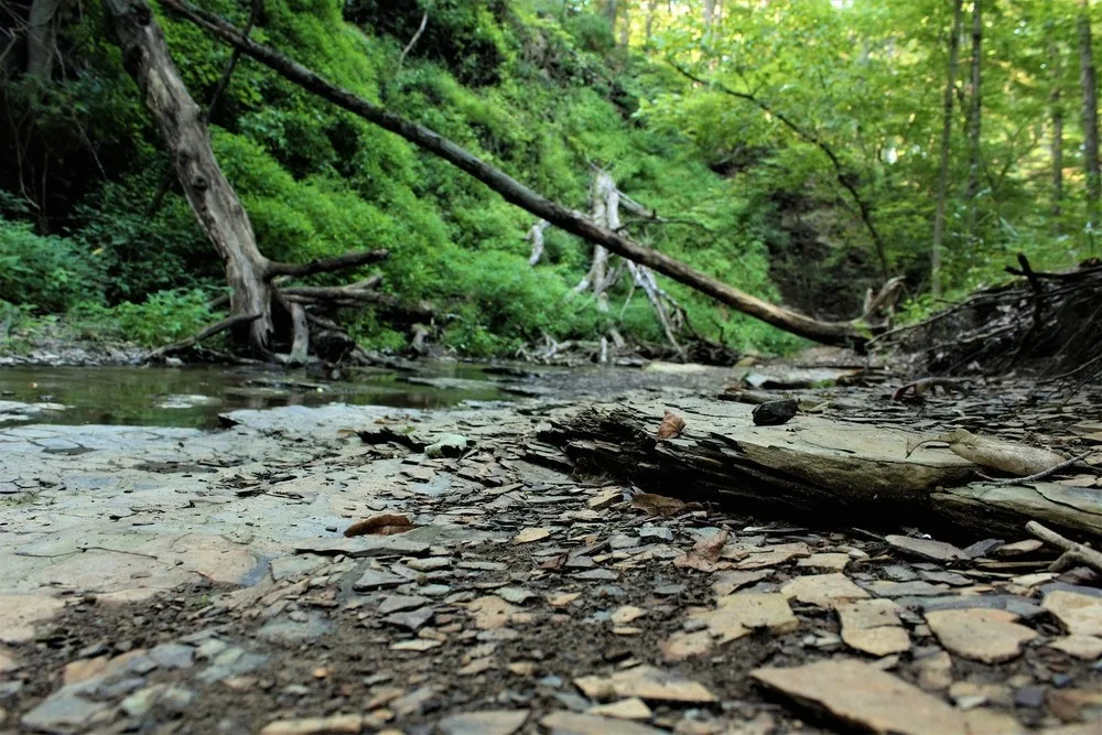Shale Hollow Park