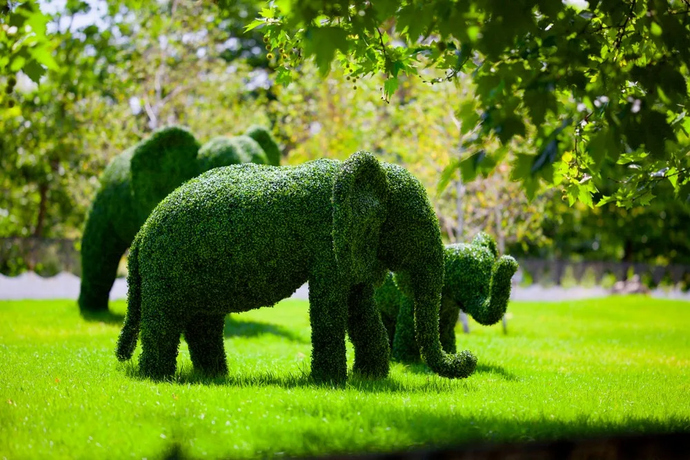 Topiary Park