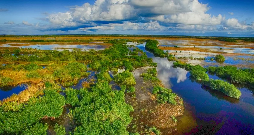 Florida Everglades