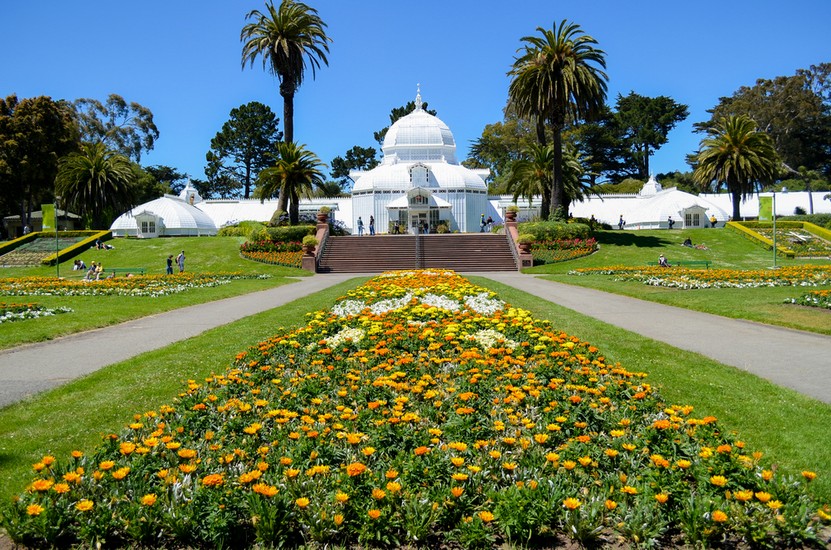 Visit Golden Gate Park (San Francisco, CA)