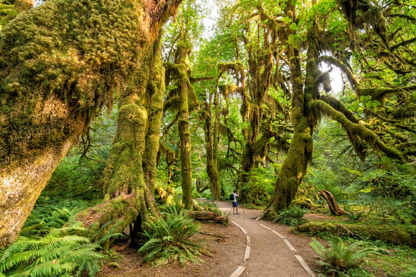 Olympic National Park (Washington)