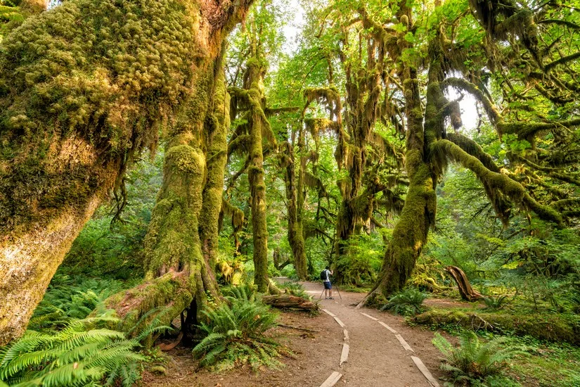 Olympic National Park (Washington)
