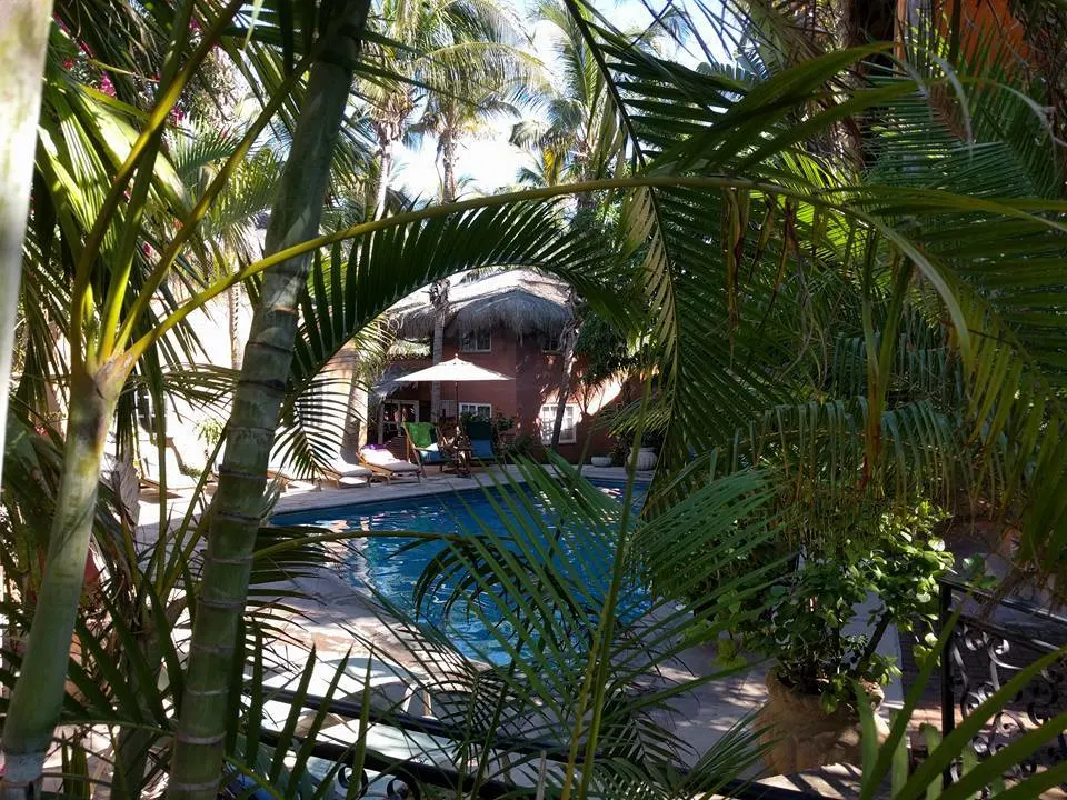 The Bungalows Hotel