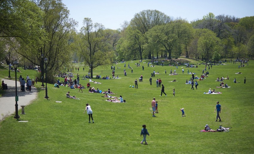 Prospect Park