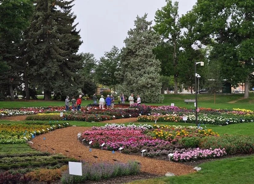 Annual Flower Trial Gardens, Fort Collins