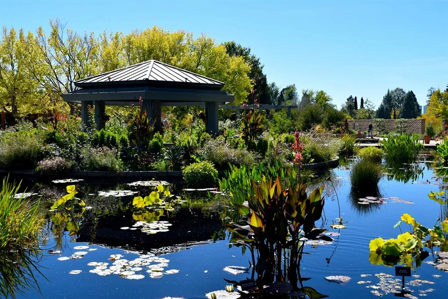 Denver Botanic Gardens, Denver