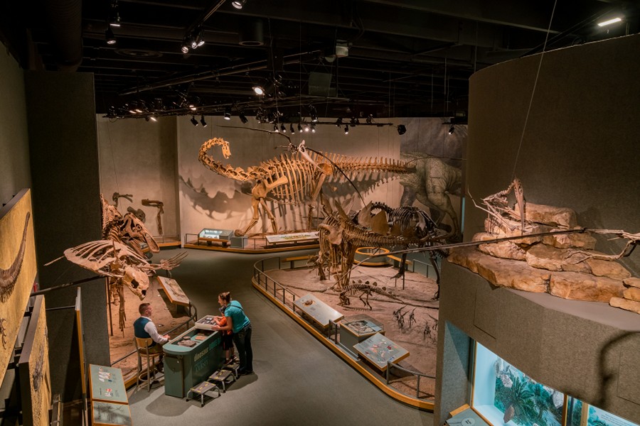 Denver Museum of Nature & Science, Denver