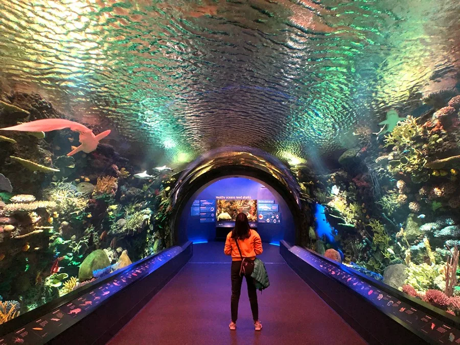 New York Aquarium, New York City