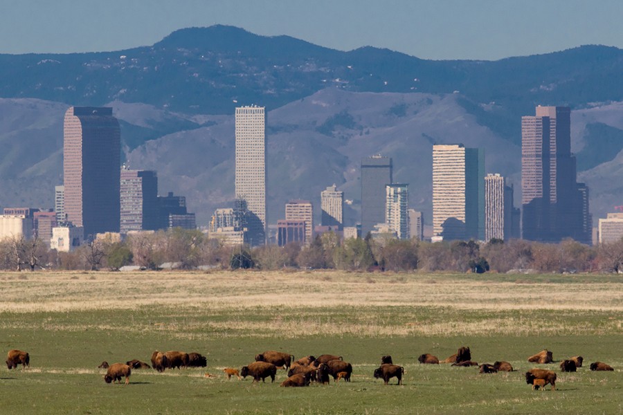 Rocky Mountain Arsenal National Wildlife Refuge, Denver
