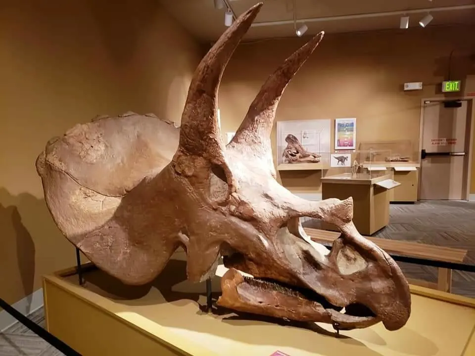 University of Colorado Natural History Museum, Boulder