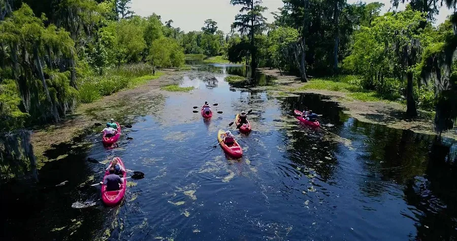 New Orleans Kayak Swamp Tours, New Orleans