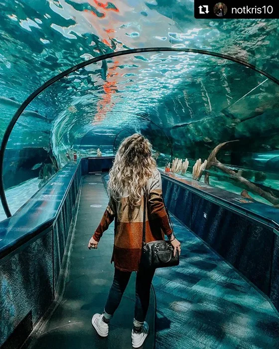 Ripley’s Aquarium of Myrtle Beach, Myrtle Beach