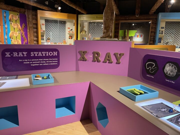 Boonshoft Museum of Discovery, Dayton Ohio