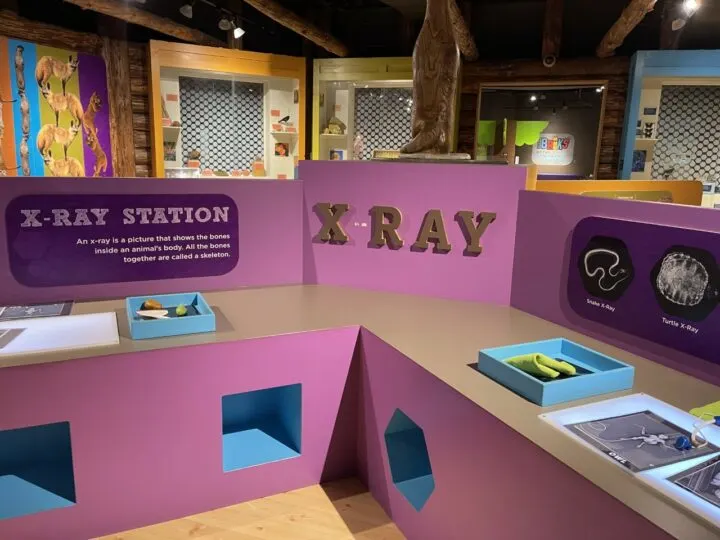 Boonshoft Museum of Discovery, Dayton Ohio