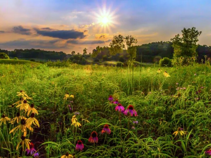 Carriage Hill MetroPark, Dayton Ohio