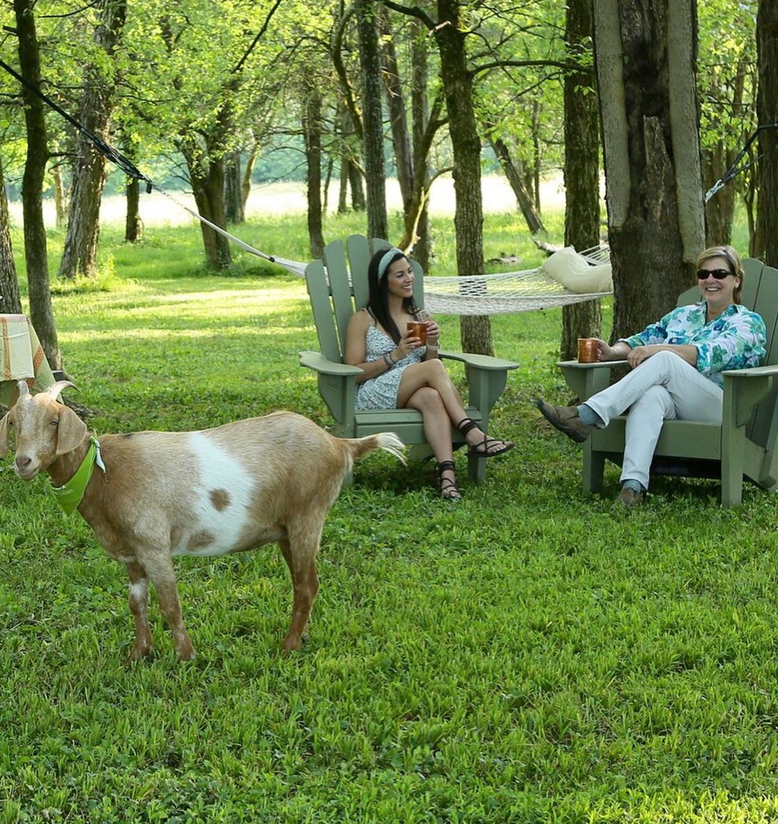 Picnic with Goats, Lexington
