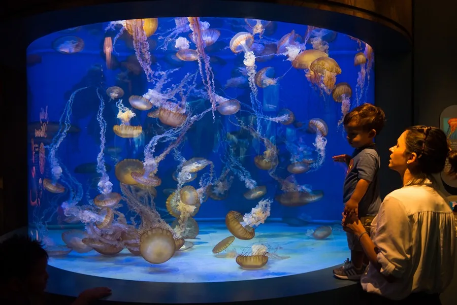 Aquarium of the Pacific, Los Angeles