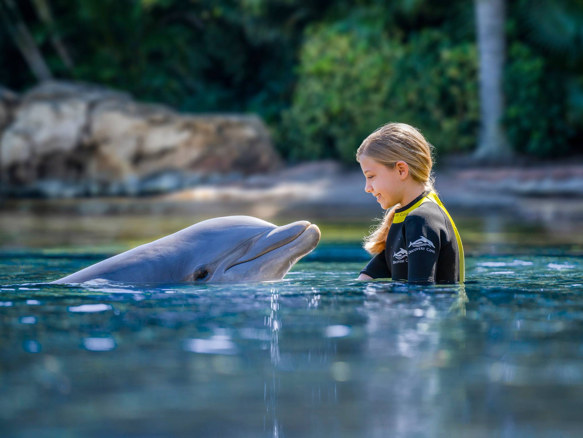 Dolphin Lagoon (Orlando)