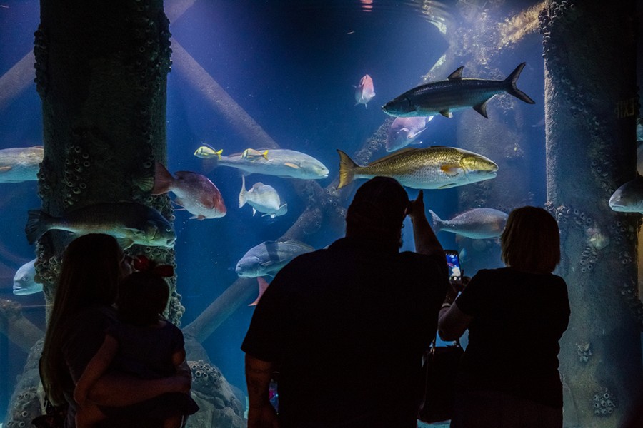 Downtown Aquarium, Houston