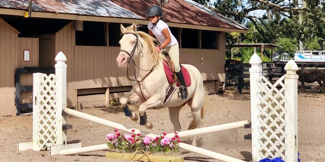 Horseback Ride with AAA Equestrian, Orlando