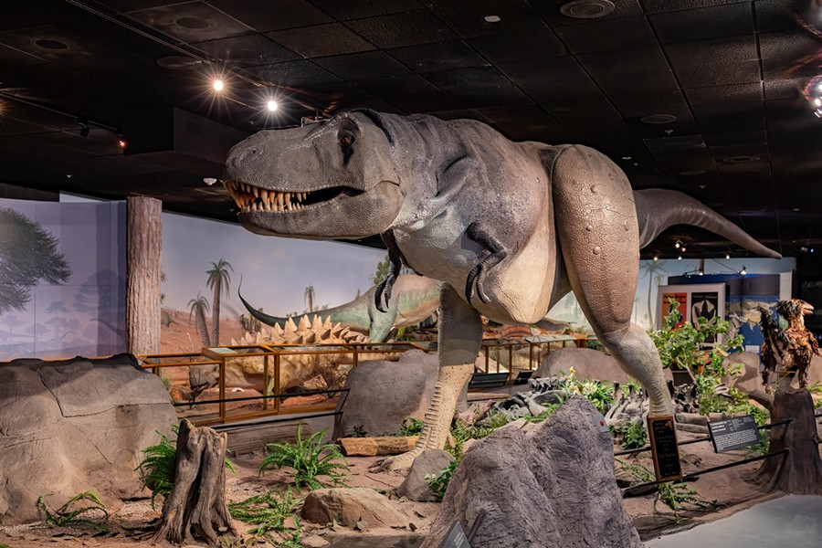 Las Vegas Natural History Museum, Las Vegas